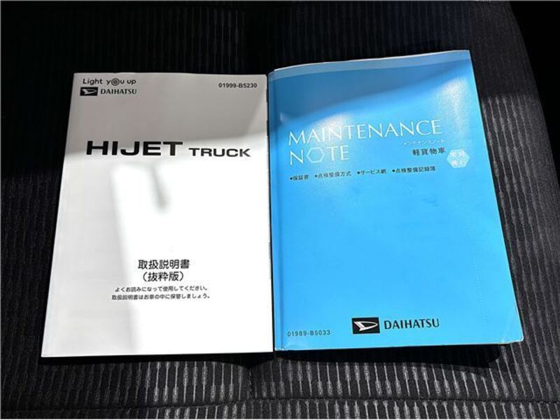 HIJET TRUCK