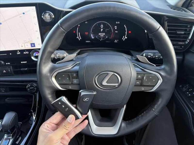 NX