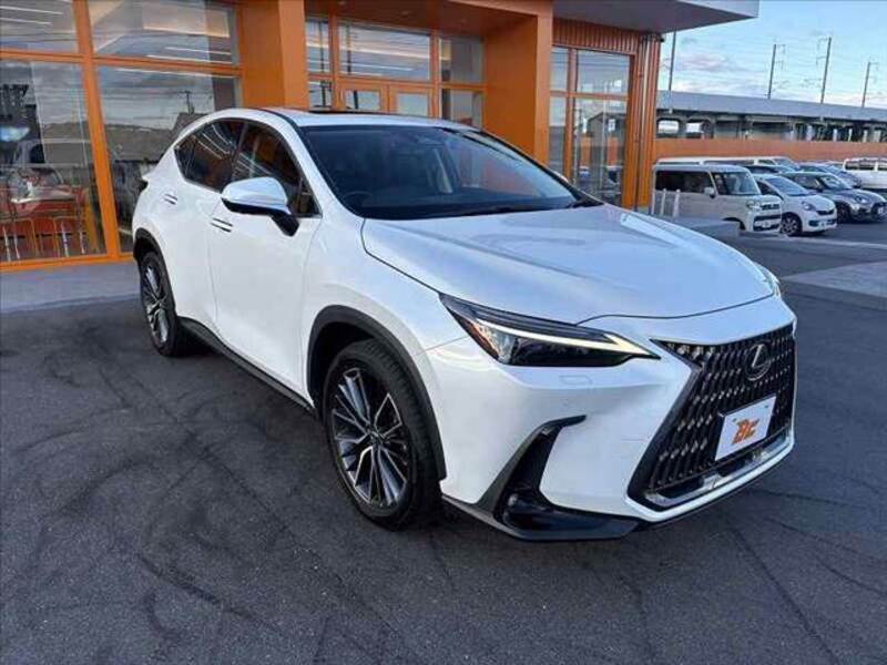 NX