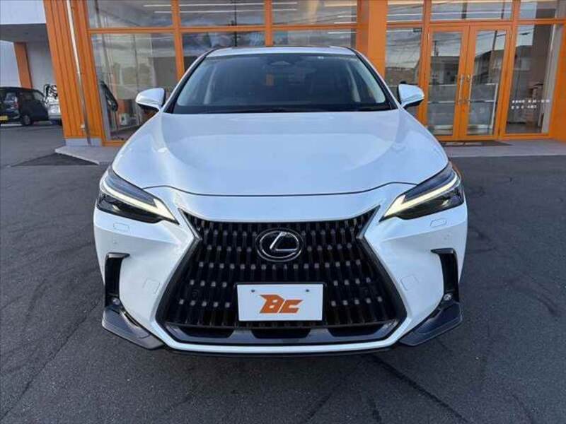 NX