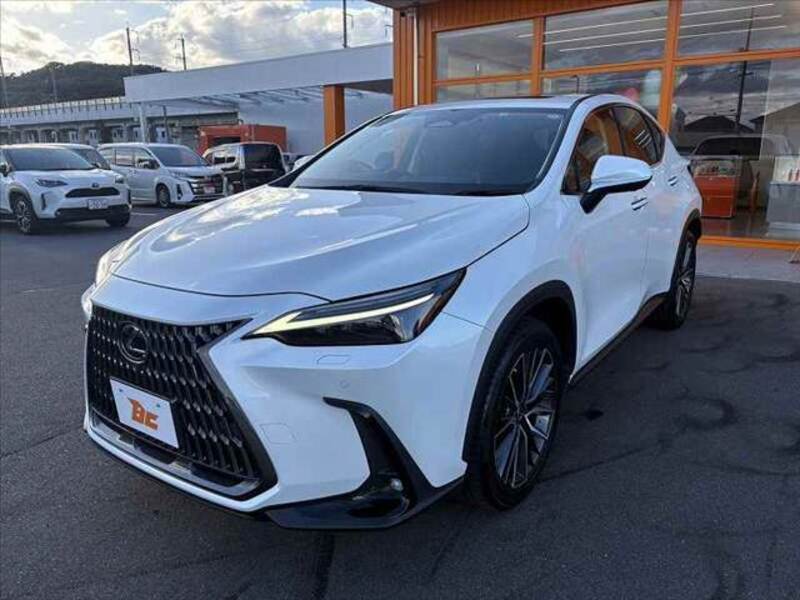 NX