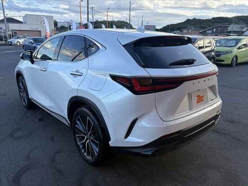 NX
