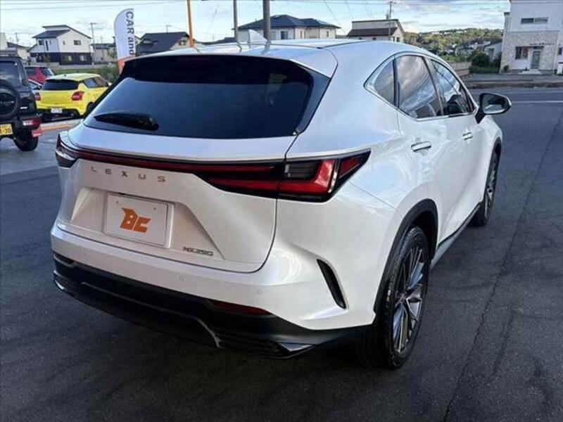 NX