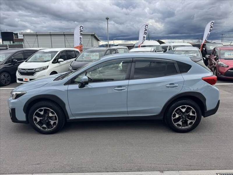 XV