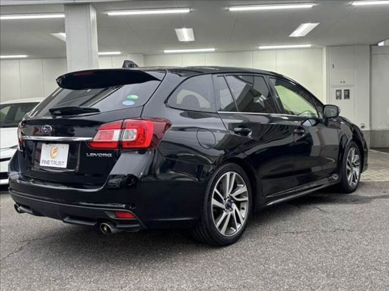 LEVORG