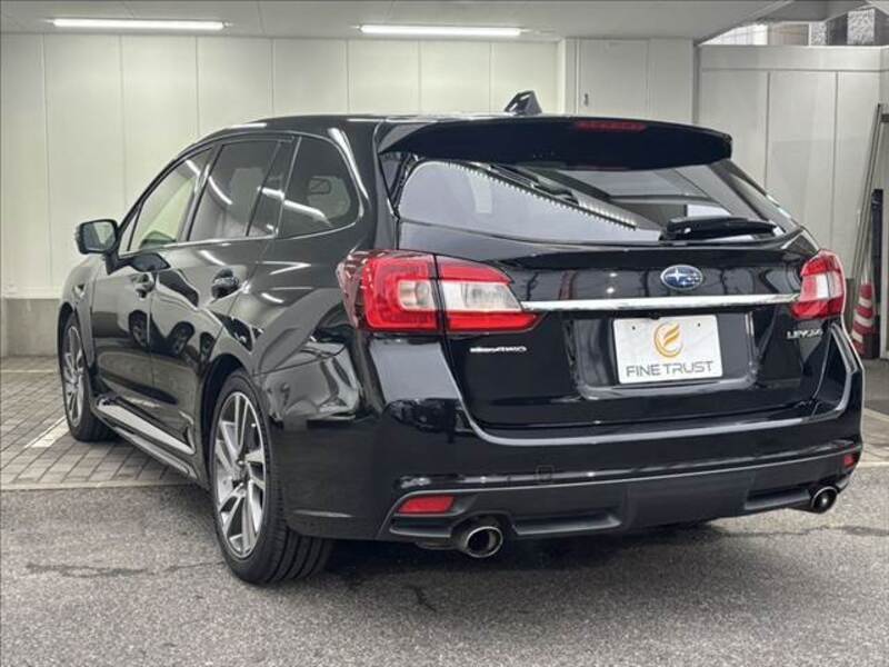 LEVORG