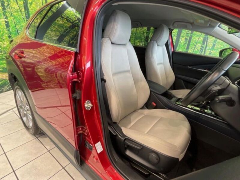 CX-30