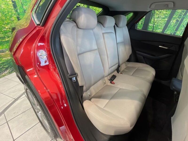 CX-30
