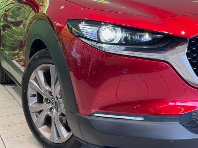 CX-30