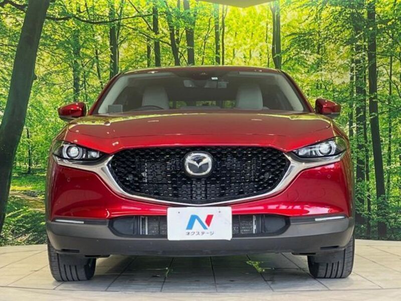 CX-30