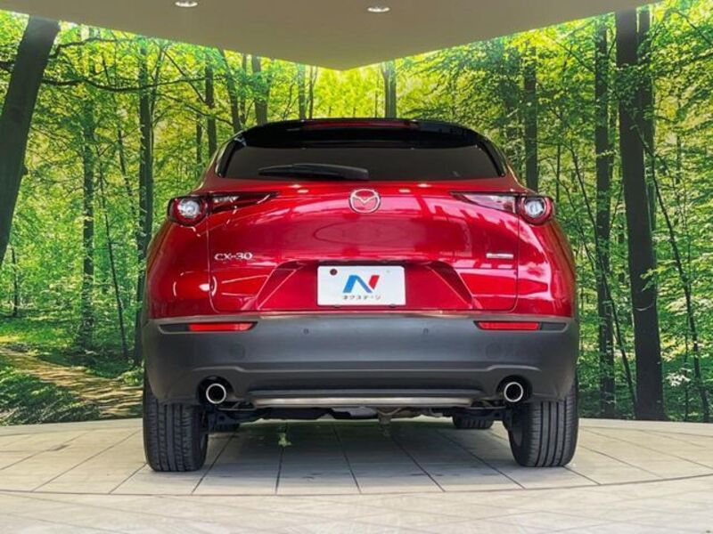 CX-30