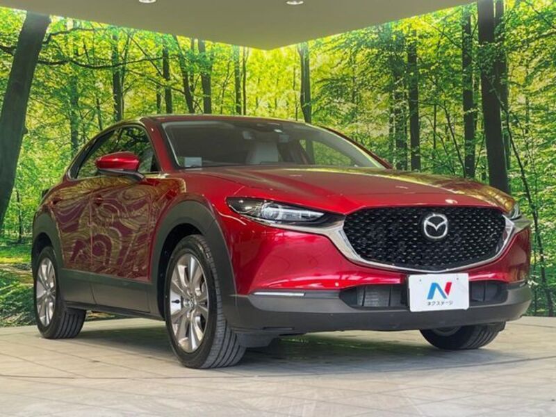 CX-30
