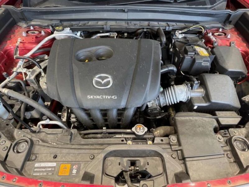 CX-30