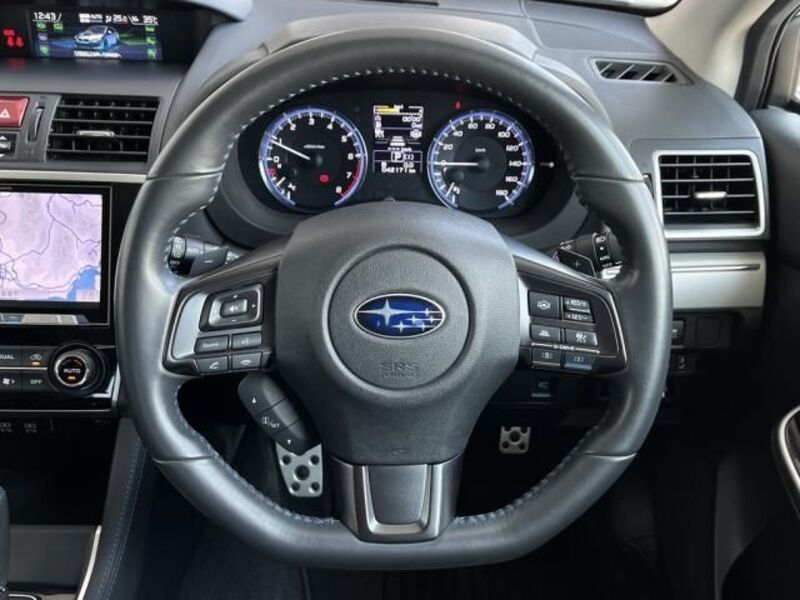 LEVORG