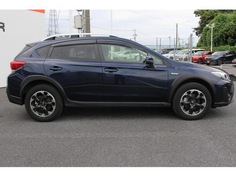 XV