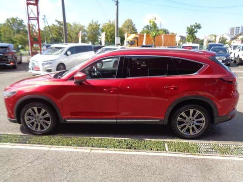 CX-8