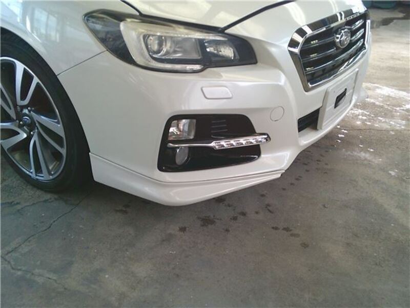 LEVORG