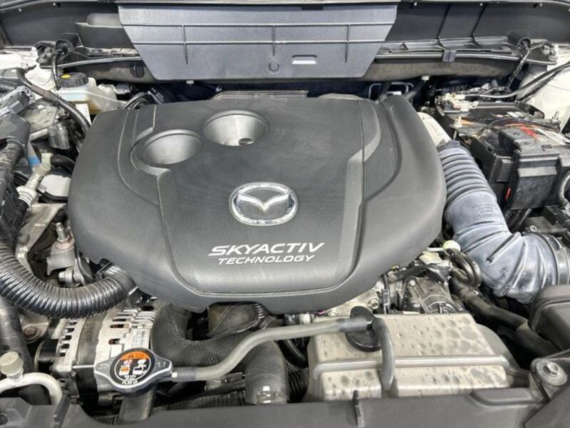CX-8