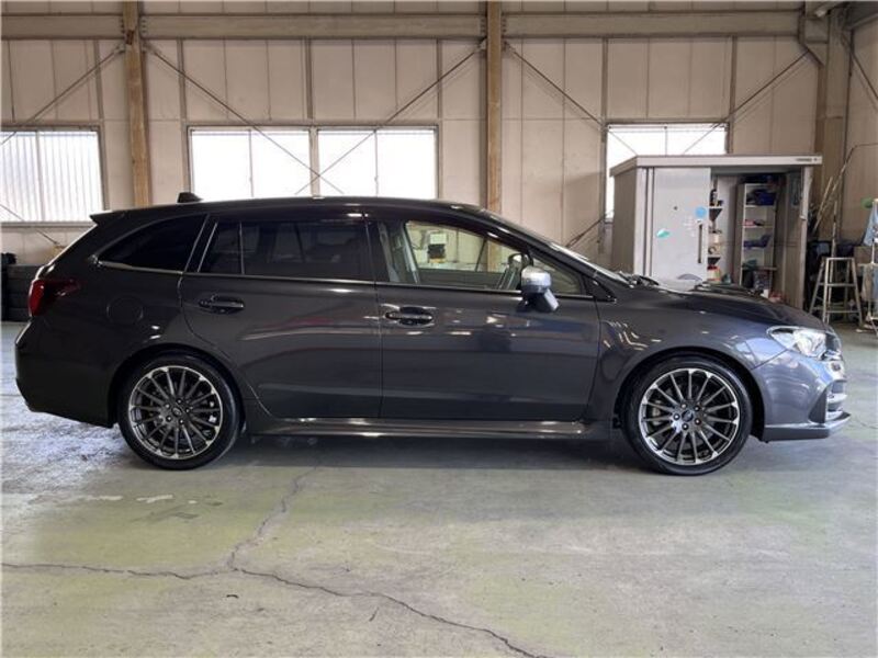 LEVORG