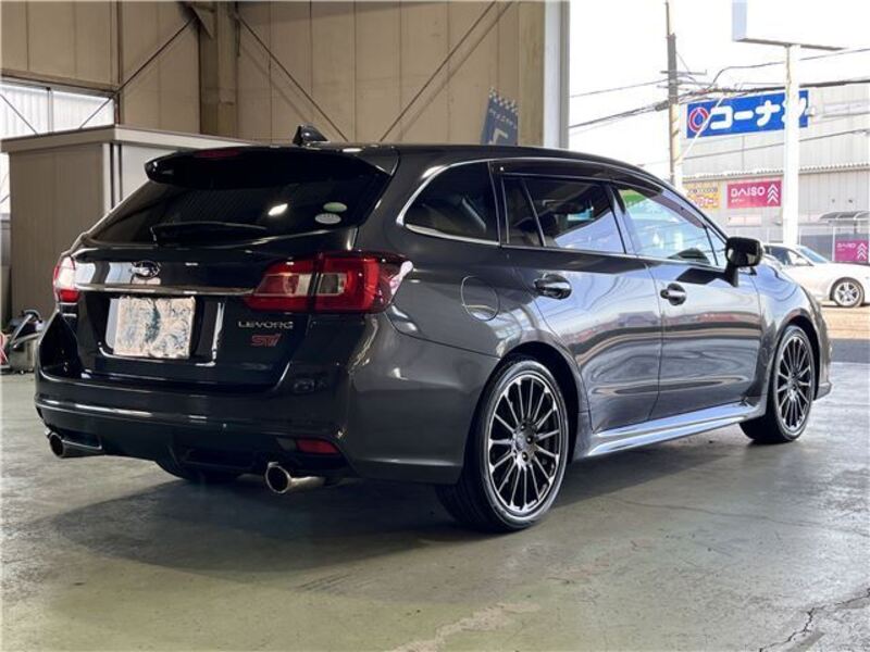 LEVORG
