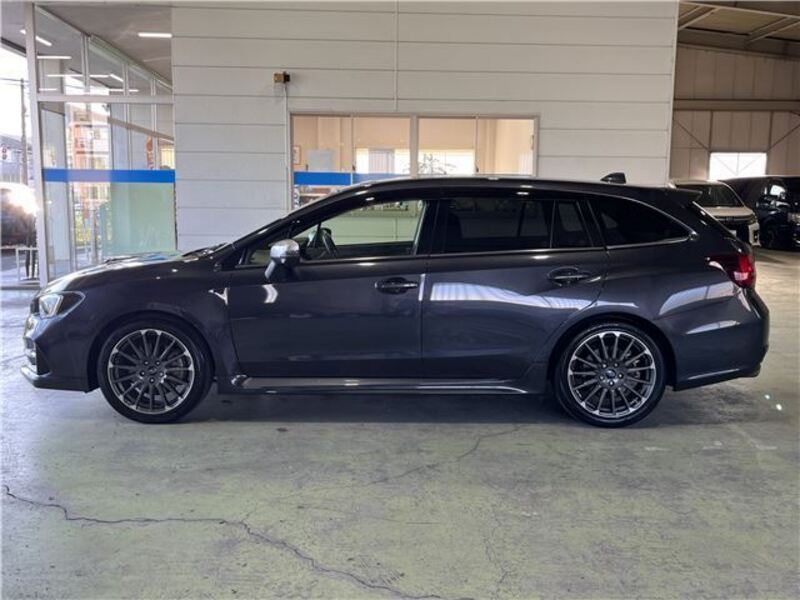 LEVORG