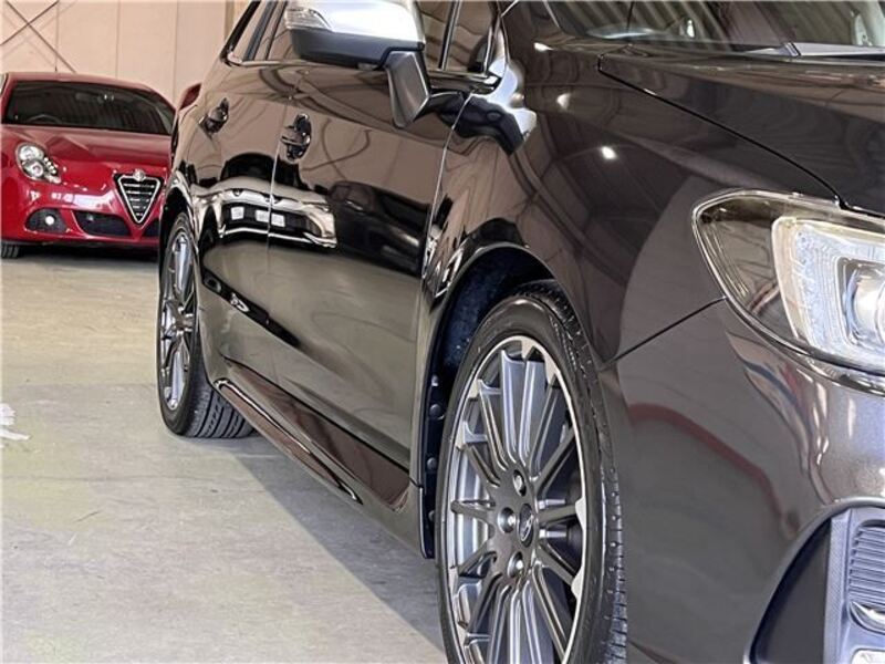 LEVORG