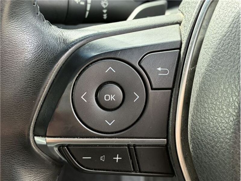 CAMRY