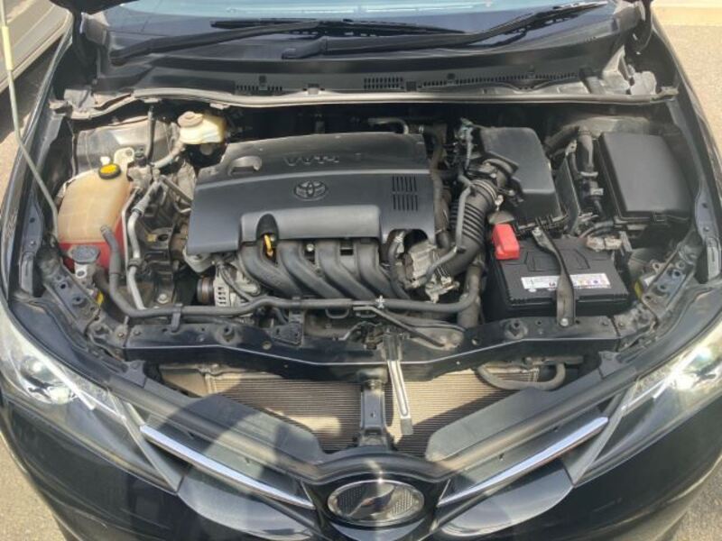 AURIS