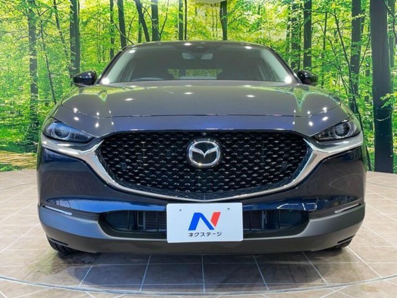 CX-30