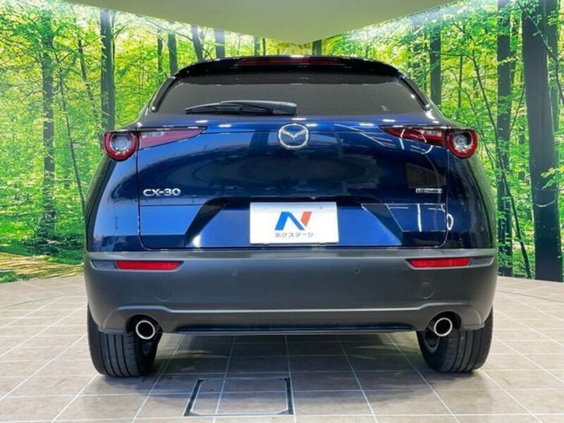 CX-30