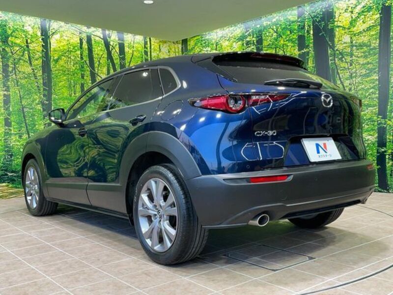 CX-30