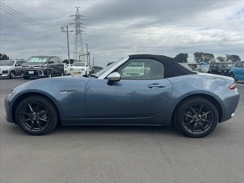 ROADSTER