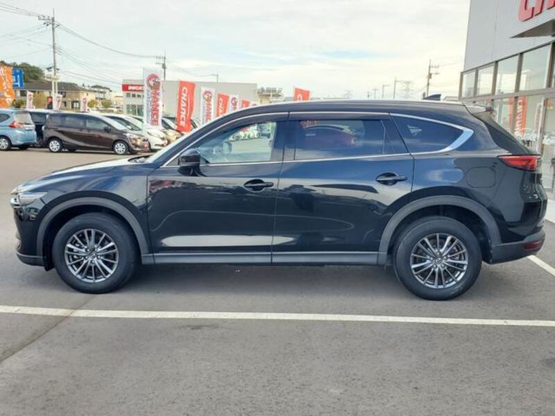 CX-8