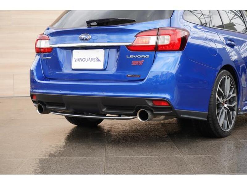 LEVORG