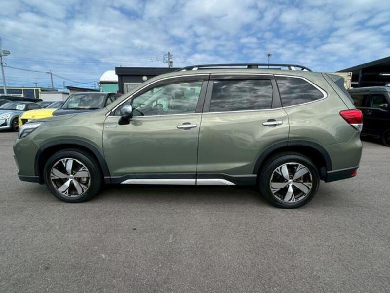 FORESTER