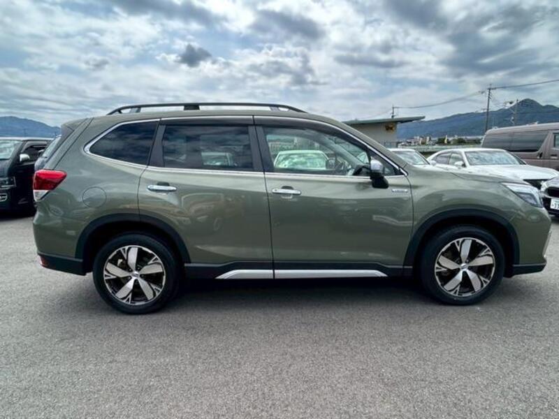 FORESTER