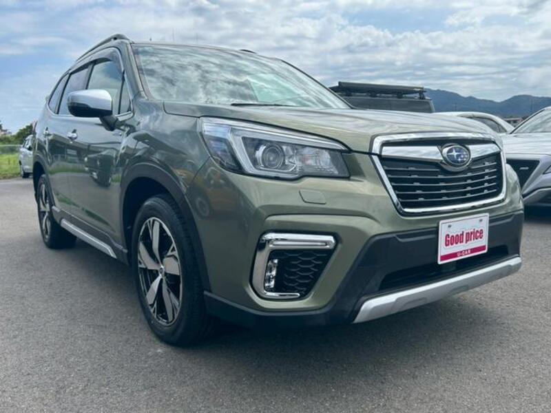 FORESTER