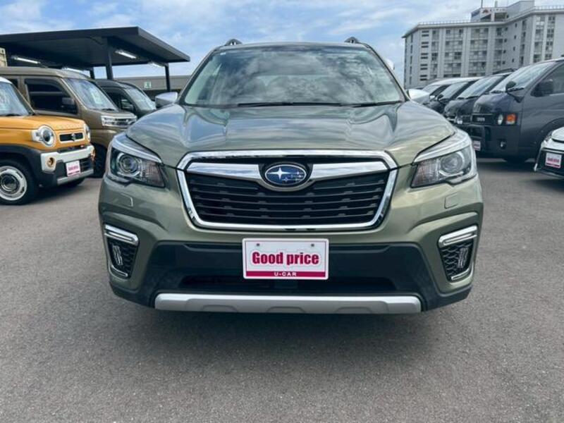 FORESTER