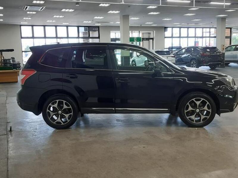 FORESTER