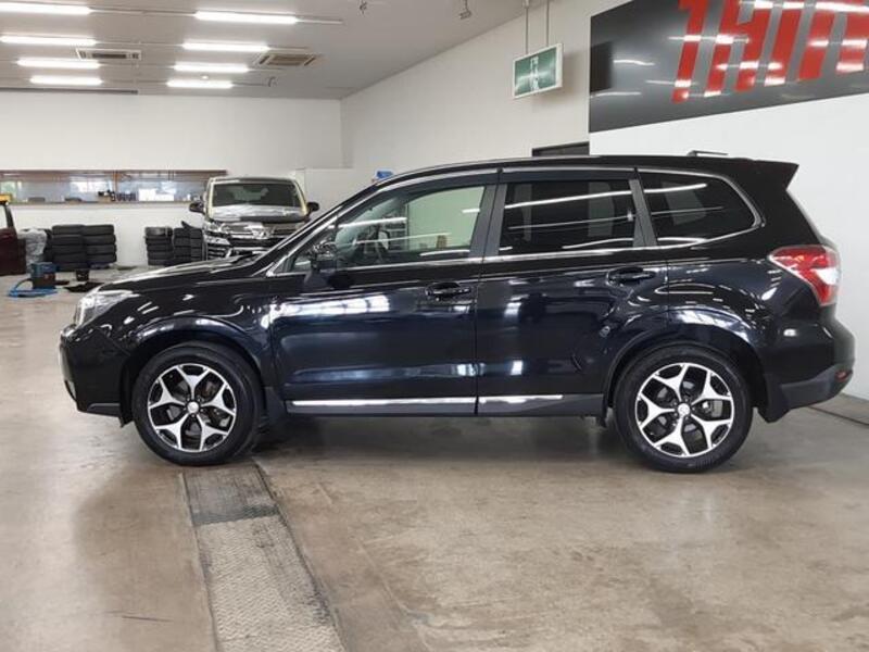 FORESTER