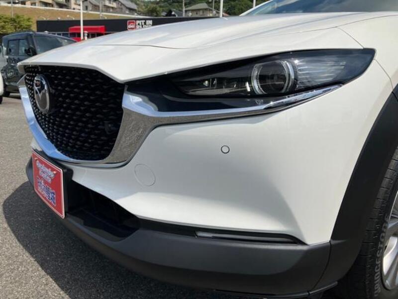 CX-30