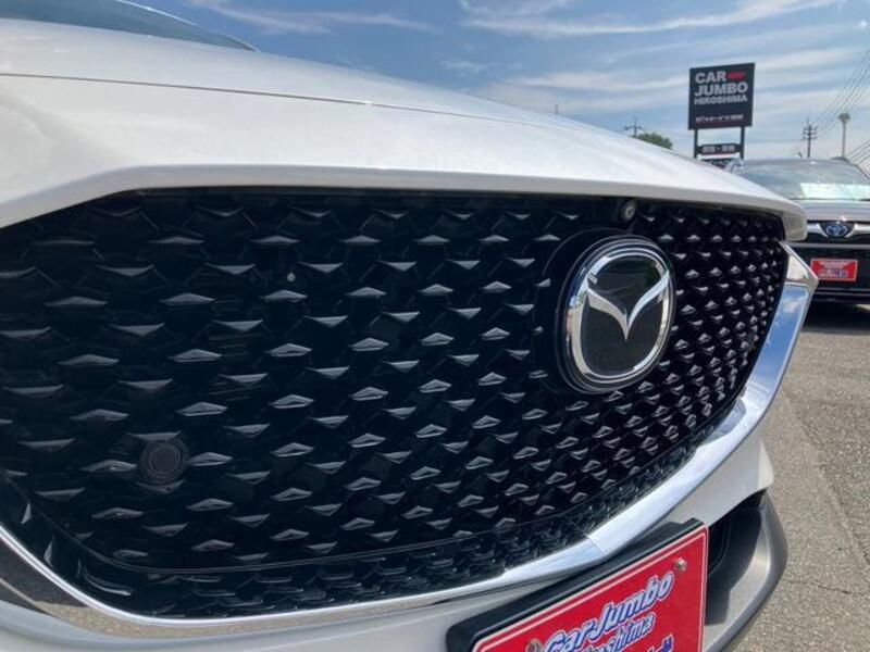 CX-30