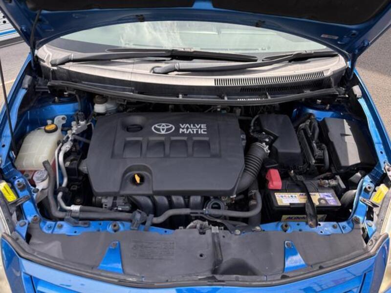 AURIS