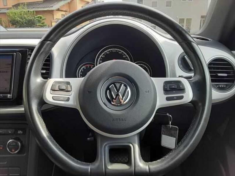 THE BEETLE