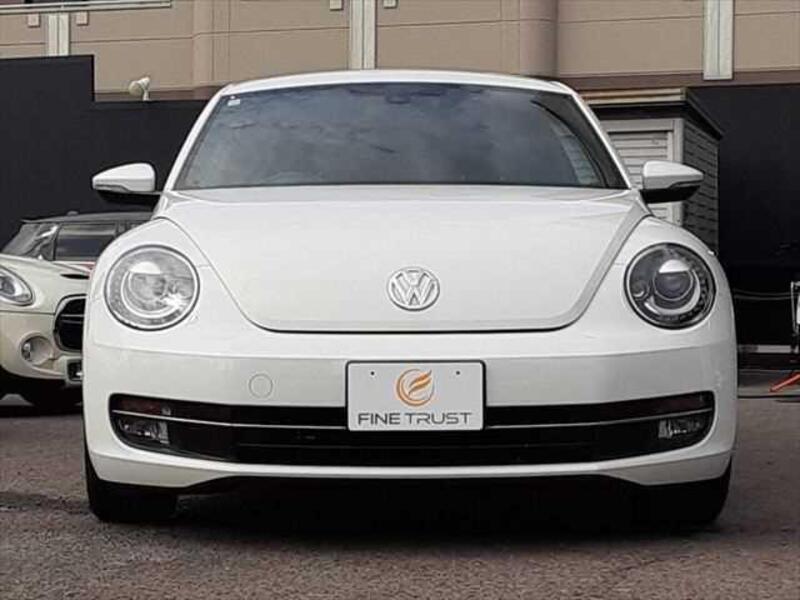 THE BEETLE