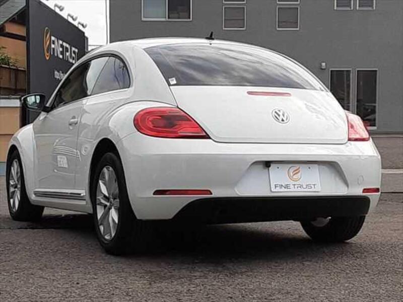 THE BEETLE