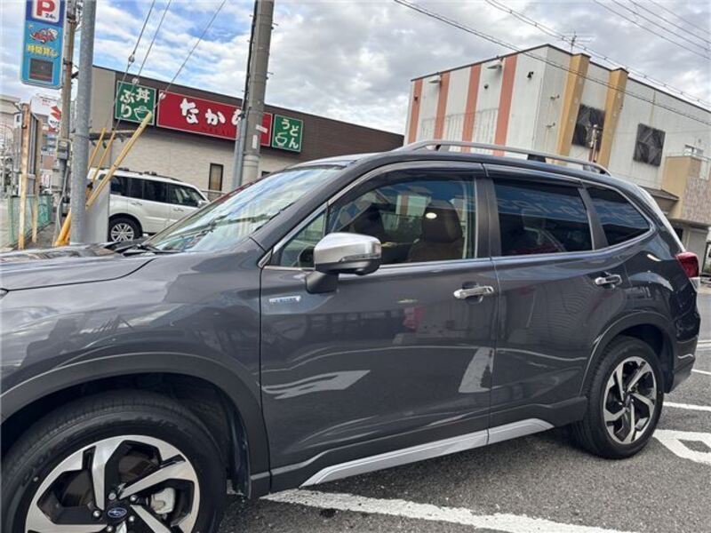 FORESTER