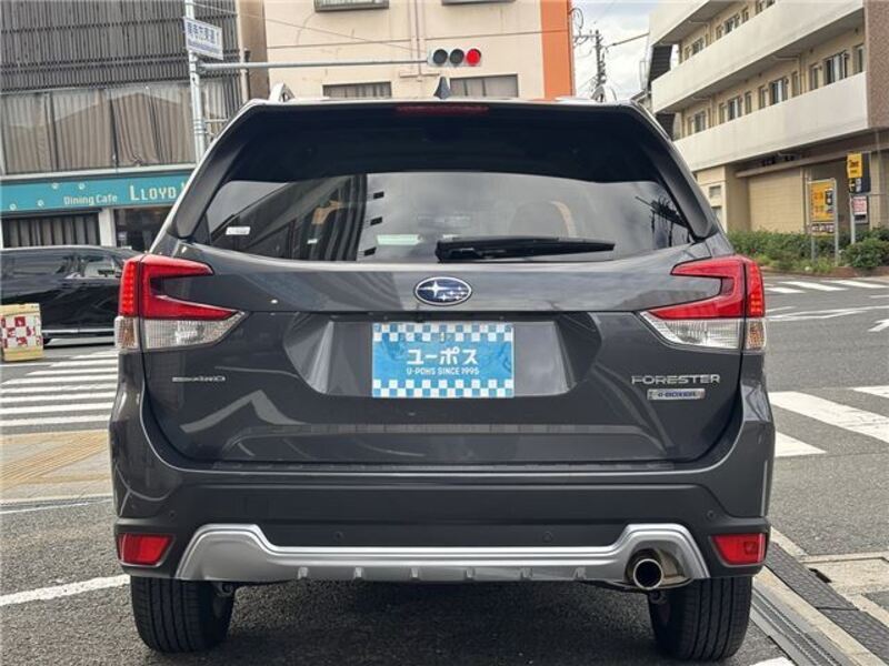 FORESTER