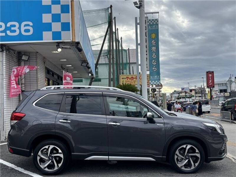 FORESTER