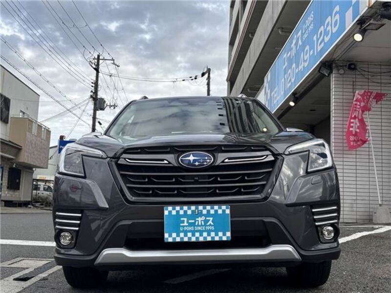 FORESTER
